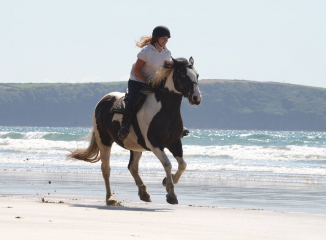  Un gran momento con el caballo 